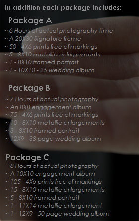 natural_touch_wedding_photography005002.jpg