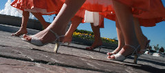 ntp_web_page_back_up006007.jpg