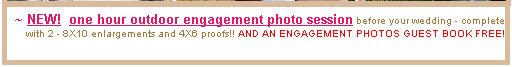ntp_web_page_back_up007001.jpg