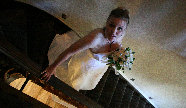 ntp_web_page_back_up007012.jpg