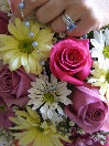 ntp_web_page_back_up007018.jpg