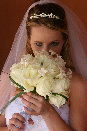 ntp_web_page_back_up011006.jpg