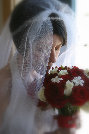 ntp_web_page_back_up011013.jpg